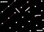 圧延アルミ(Al)箔